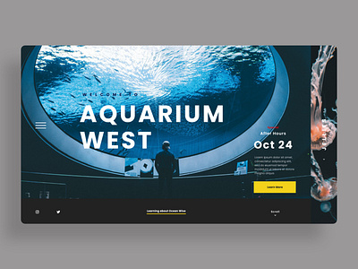 Aquarium Website aquarium branding design identity typography ui ui design ux web web design landing page website