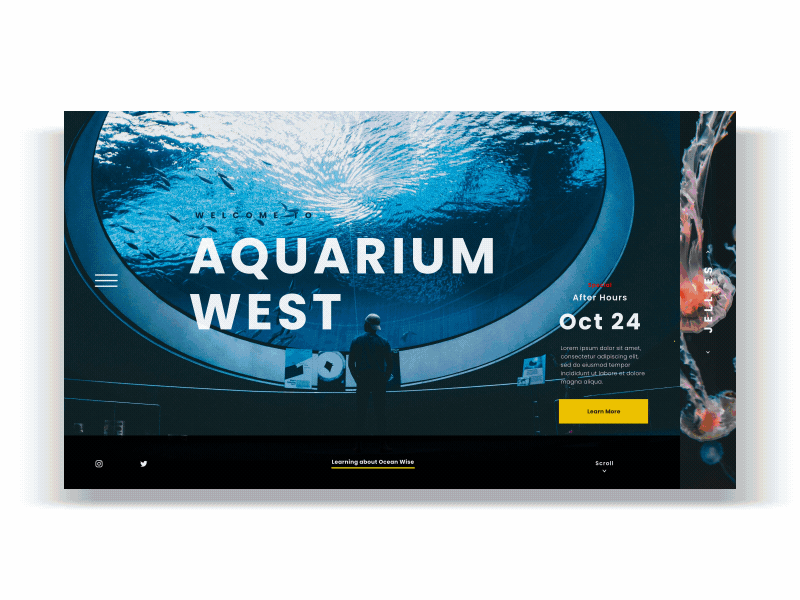 Aquarium Website Interaction animated animated gif animation app branding design identity minimal ui web web design landing page website