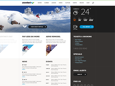 Snowbird site sneak peek design interface rally interactive site ui ux web design website
