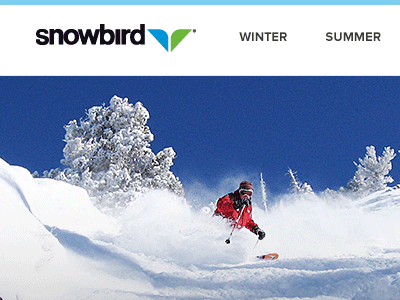 Snowbird Loader GIF design interface rally interactive site ui ux web design