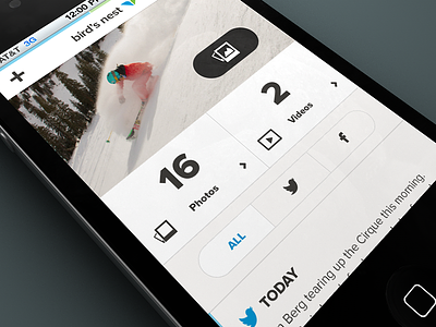 Snowbird Mobile Bird's Nest design interface mobile rally interactive site ui ux