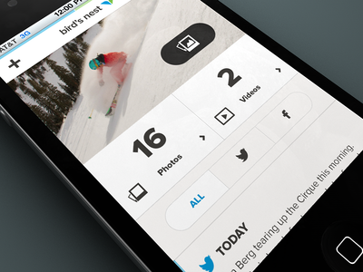 Snowbird Mobile Bird's Nest design interface mobile rally interactive site ui ux