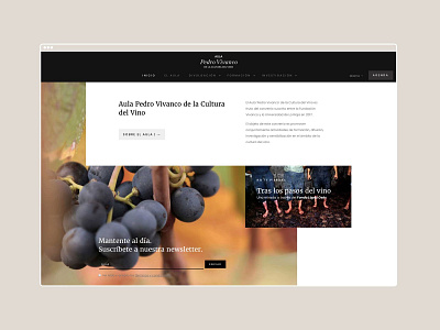 Aula Pedro Vivanco branding graphic design web design