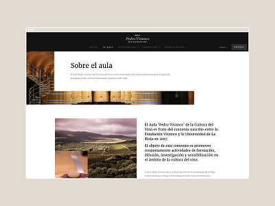 Aula Pedro Vivanco branding graphic design web design