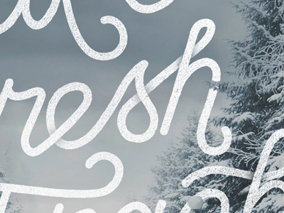 Make Fresh Tracks fresh hand lettering lettering script snow tracks type typography