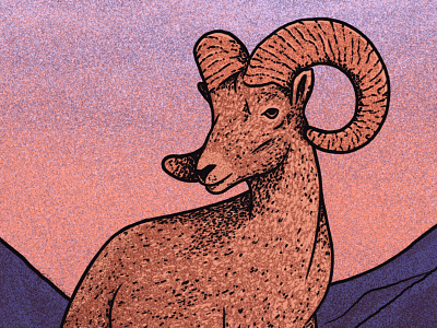 Big Horn Sheep Detail animal big horn sheep drawing gig poster goat grain grunge illustration mountain poster screen print sheep