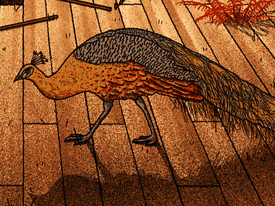 Ray LaMontagne Peacock Detail