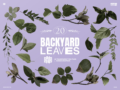 Backyard Leaves Bundle assets bundle design graphic design leaves