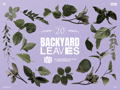 Backyard Leaves Bundle