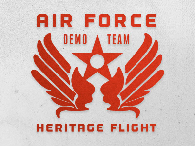 Logo. air force aircraft flight non profit plane red star team usa wings