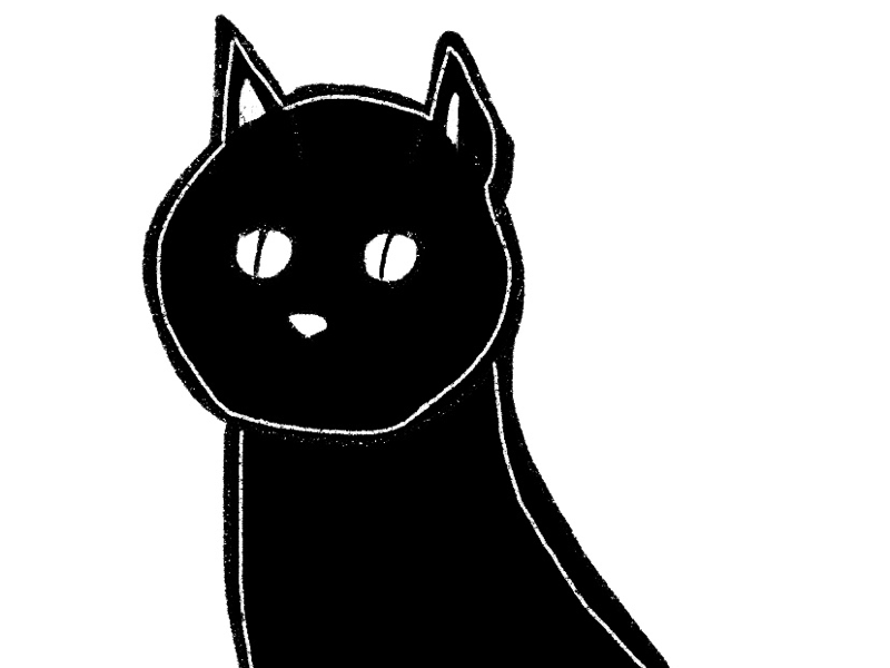 Black meow 🐾 by Kseniia on Dribbble