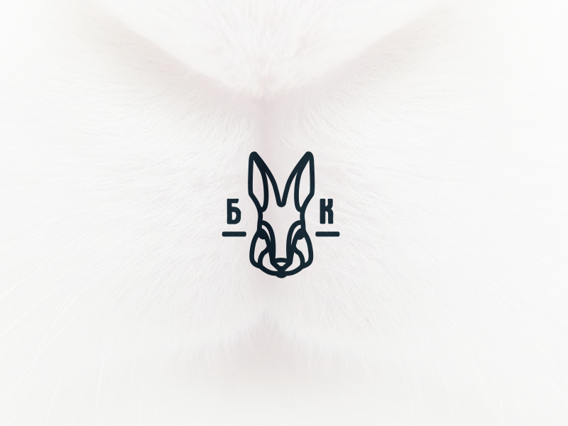 White rabbit карта лояльности