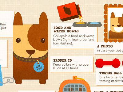 Pet Travel 101 - infographic detail dog