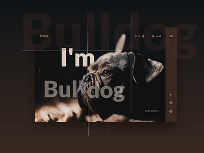 Bulldog design landingpage typography ui userinterface webdesign