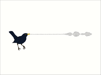 Sound Waves of Blackbird Song bird illustration birdsong calm illustrator peaceful
