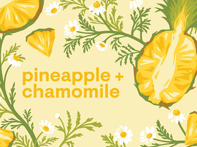 Pineapple + Chamomile beverage botanical chamomile food illustration illustration art illustrator packaging pineapple plant