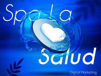 Project: Digital Marketing La salud renova spa