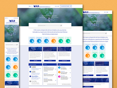 Information System UI branding coding infographics information architecture ui ux