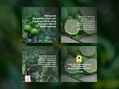 Social Media Bergamot Design