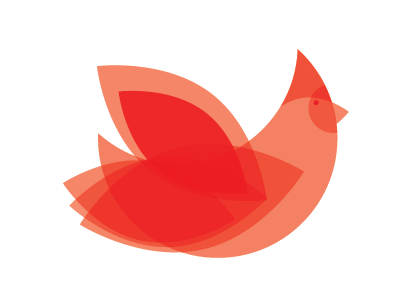 Cardinal bird cardinal red