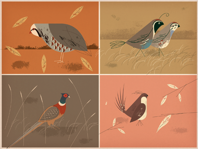 Birds birds illustration mid-century color texture logo grass drawing fly quail neat