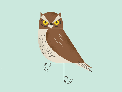 Owl Idea bird color design icon illustration logo owl retro vintage