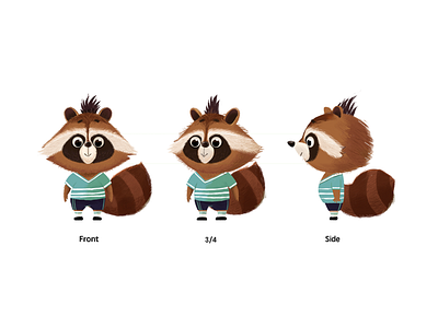 Cooka character set illustration raccoon