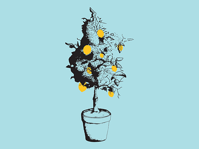 Lemon Geranium Stipple color drawing hand illustration large lemon pop sketch stipple tree vector