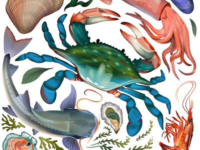 Sustainable Seafood animals colorful cookbook design digital dribble fish food illustration nature ocean sea