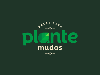 Plante Mudas brand brand design design flower shop illustration leaf logo mark vintage logo