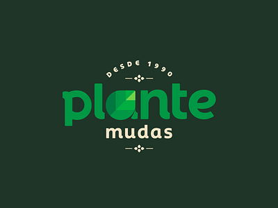 Plante Mudas