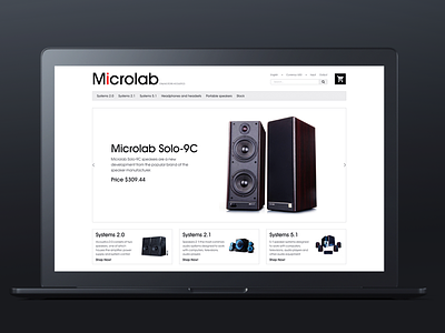 The website of acoustic systems /Microlab/