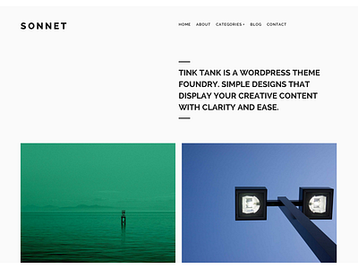 Sonnet WordPress Theme colour grid minimal portfolio web design wordpress