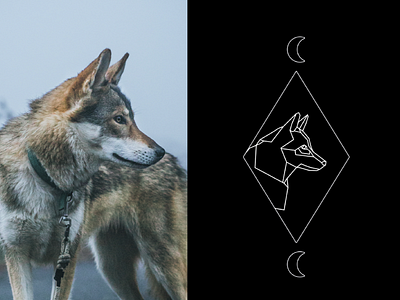 Wolf tarot spirit animal style (in progress) geometric geometry moon patronus tattoo tribal wolf illustration wolf spirit animal