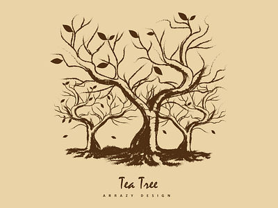 Tea Tree illustrator