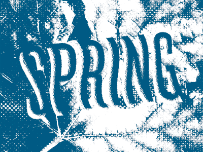 9 x 9 9x9 screenprint seattle spring