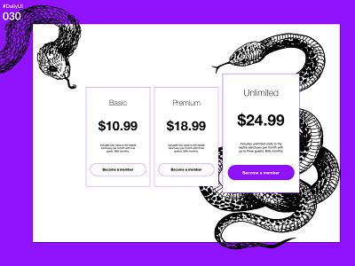 DailyUI 030 - Pricing