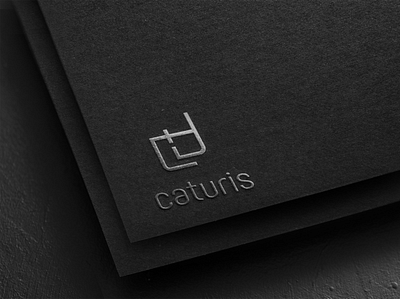 Logo Caturis Design art branding design flat illustration logo minimal type typography vector