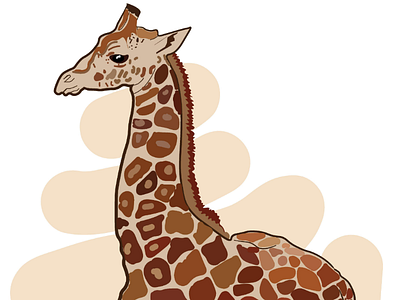 Giraffe adobe art drawing drawing illustration illustrator