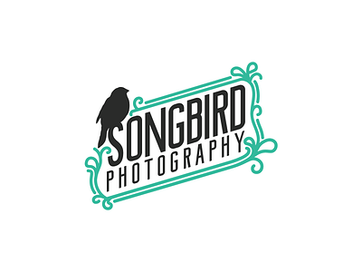 Songbird Photography Logo Concept bird branding design identity photographer photography typography vector