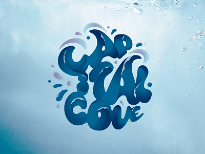 Capital Cove, VBS 2017 Logo contour design liquid logo typography vbs vector water