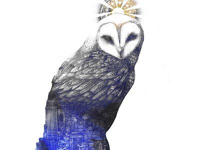 The Knight Watch bird city dark feather halo illustration light nature night owl pencil urban