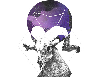 Capricorn constellation horns horoscope illustration nature pencil skull