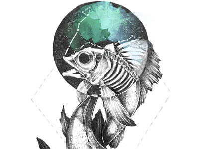 Pisces constellation drawing fish horoscope illustration pisces skull