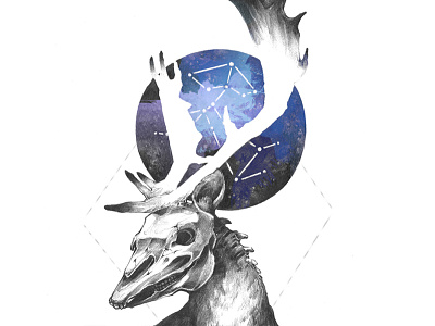 Sagittarius constellation deer horoscope illustration sagittarius skull