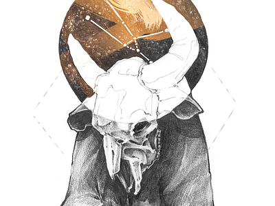 Taurus Horoscope Sign bull design horns horoscope illustration pencil signs skull