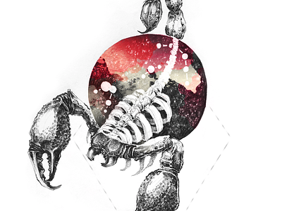 Scorpio - Horoscope Sign bone design horoscope illustration insect pencil poison ribs signs