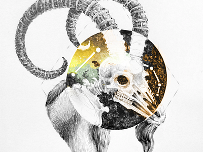 Aries - Horoscope Constellation Series