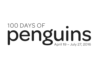 penguins - day 000 100dayproject 100daysofpenguins