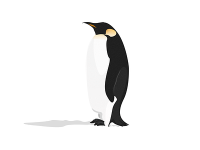 penguins - day 005